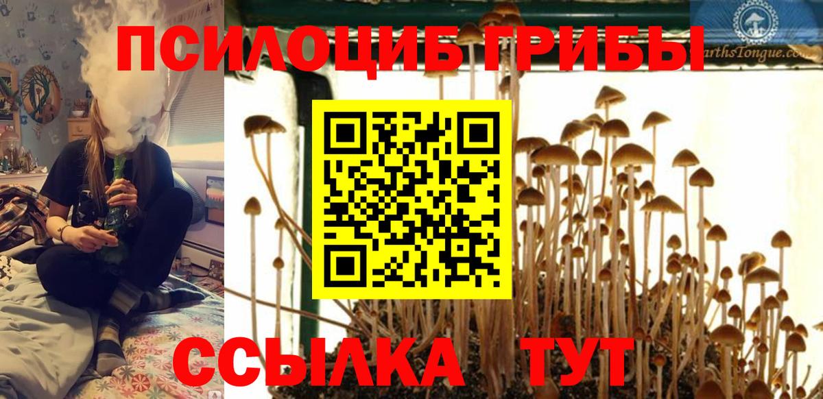 Галлюциногенные грибы Psilocybe  Вход с VPN  Великий Новгород 