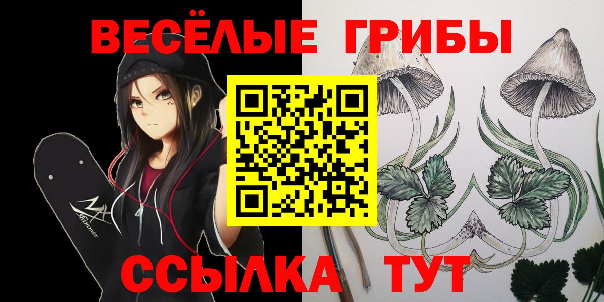 Галлюциногенные грибы Cubensis Великий Новгород